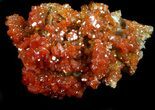 Red Vanadinite Crystal Cluster - Morocco #36977-1